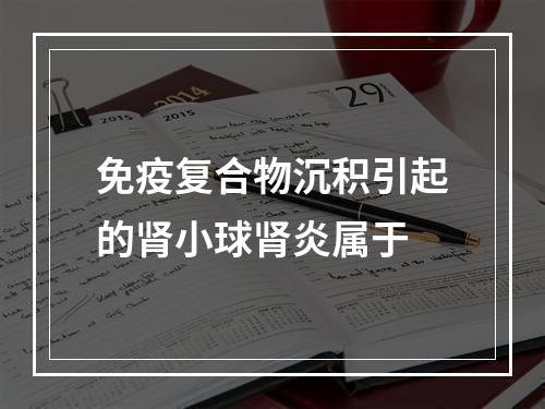 免疫复合物沉积引起的肾小球肾炎属于