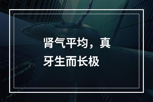 肾气平均，真牙生而长极