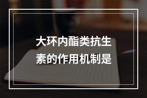 大环内酯类抗生素的作用机制是