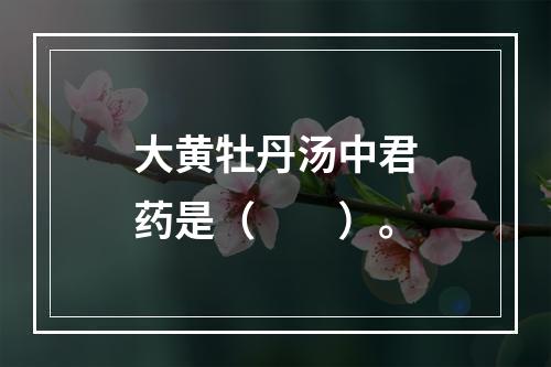 大黄牡丹汤中君药是（　　）。