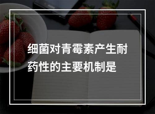 细菌对青霉素产生耐药性的主要机制是