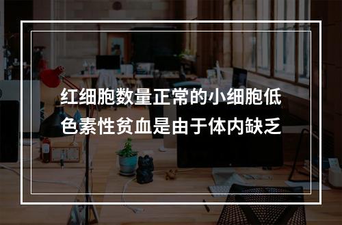 红细胞数量正常的小细胞低色素性贫血是由于体内缺乏