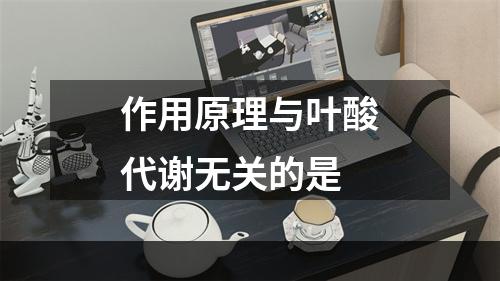 作用原理与叶酸代谢无关的是