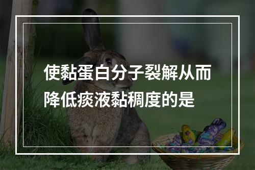 使黏蛋白分子裂解从而降低痰液黏稠度的是