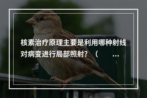 核素治疗原理主要是利用哪种射线对病变进行局部照射？（　　）