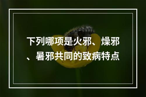 下列哪项是火邪、燥邪、暑邪共同的致病特点