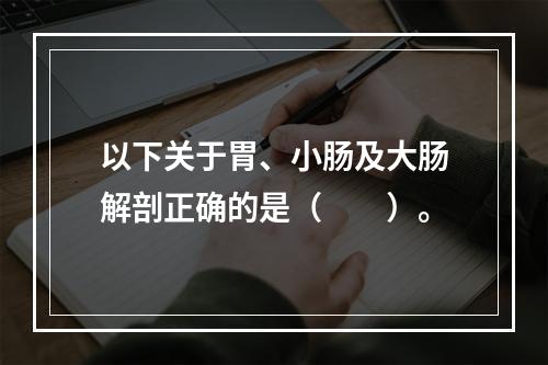 以下关于胃、小肠及大肠解剖正确的是（　　）。