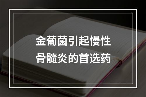 金葡菌引起慢性骨髓炎的首选药