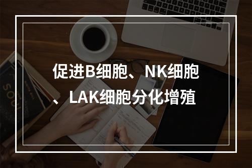 促进B细胞、NK细胞、LAK细胞分化增殖