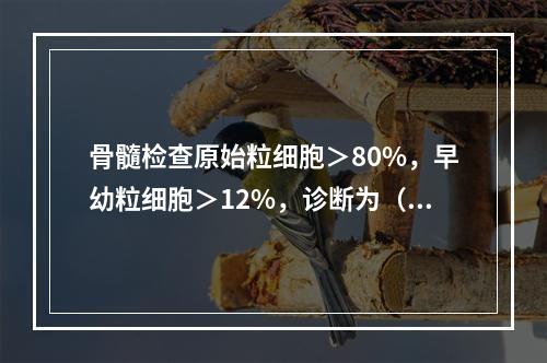 骨髓检查原始粒细胞＞80%，早幼粒细胞＞12%，诊断为（　　