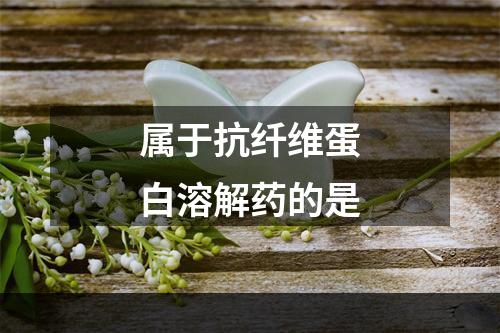 属于抗纤维蛋白溶解药的是