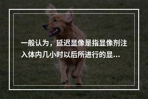 一般认为，延迟显像是指显像剂注入体内几小时以后所进行的显像