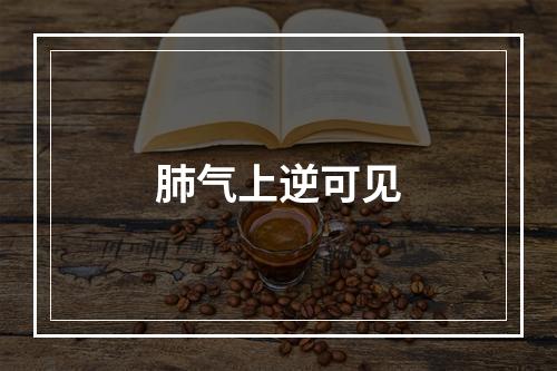 肺气上逆可见