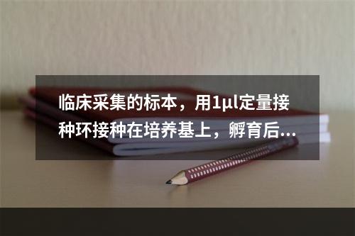 临床采集的标本，用1μl定量接种环接种在培养基上，孵育后菌落