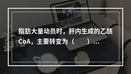 脂肪大量动员时，肝内生成的乙酰CoA，主要转变为（　　）。