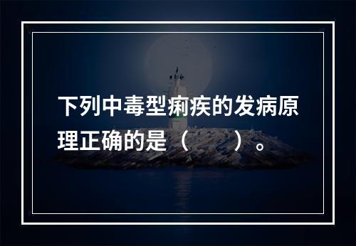 下列中毒型痢疾的发病原理正确的是（　　）。