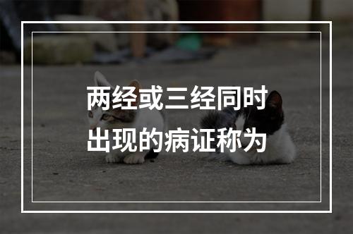 两经或三经同时出现的病证称为