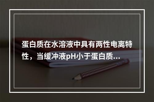 蛋白质在水溶液中具有两性电离特性，当缓冲液pH小于蛋白质等电