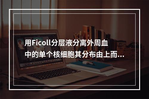 用Ficoll分层液分离外周血中的单个核细胞其分布由上而下依