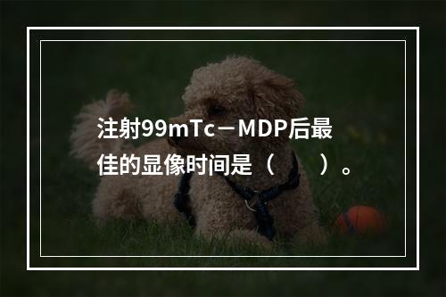 注射99mTc－MDP后最佳的显像时间是（　　）。