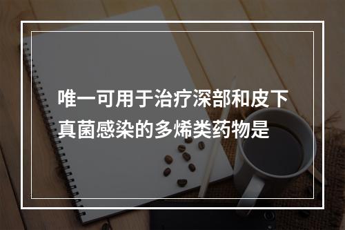 唯一可用于治疗深部和皮下真菌感染的多烯类药物是