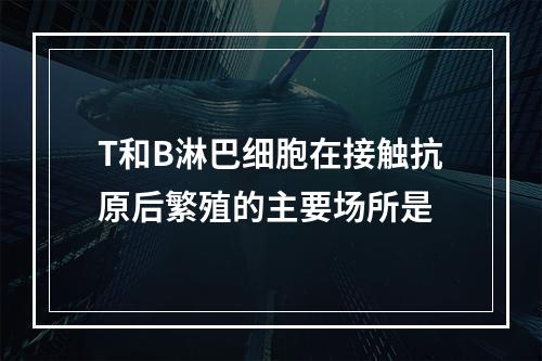 T和B淋巴细胞在接触抗原后繁殖的主要场所是