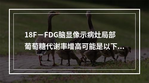 18F－FDG脑显像示病灶局部葡萄糖代谢率增高可能是以下哪