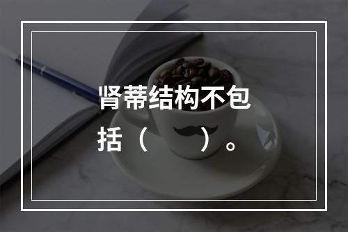 肾蒂结构不包括（　　）。