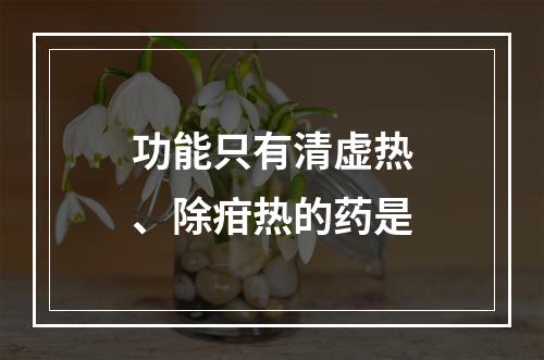 功能只有清虚热、除疳热的药是