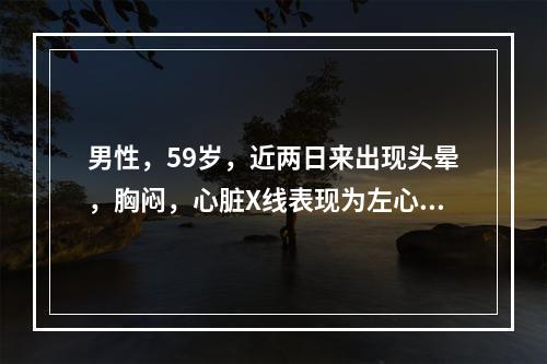 男性，59岁，近两日来出现头晕，胸闷，心脏X线表现为左心室