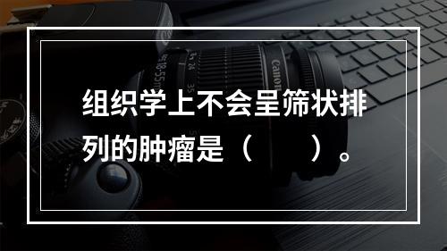 组织学上不会呈筛状排列的肿瘤是（　　）。