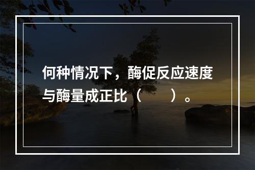 何种情况下，酶促反应速度与酶量成正比（　　）。