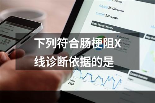 下列符合肠梗阻X线诊断依据的是