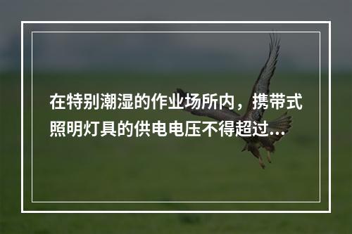 在特别潮湿的作业场所内，携带式照明灯具的供电电压不得超过（ 