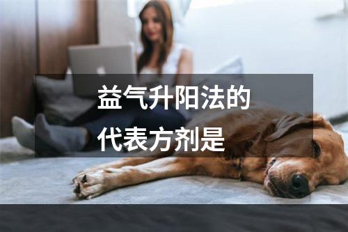 益气升阳法的代表方剂是