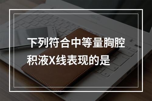 下列符合中等量胸腔积液X线表现的是