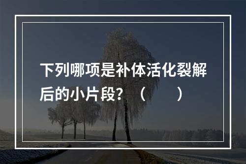 下列哪项是补体活化裂解后的小片段？（　　）