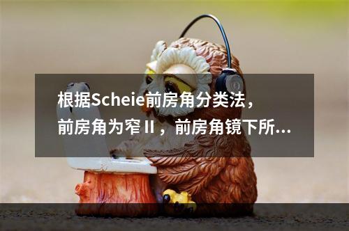 根据Scheie前房角分类法，前房角为窄Ⅱ，前房角镜下所见应