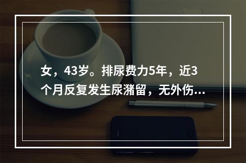 女，43岁。排尿费力5年，近3个月反复发生尿潴留，无外伤及糖