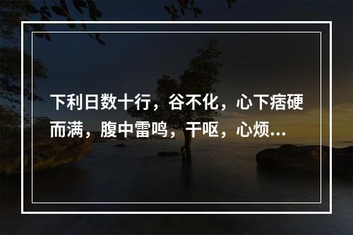 下利日数十行，谷不化，心下痞硬而满，腹中雷鸣，干呕，心烦不