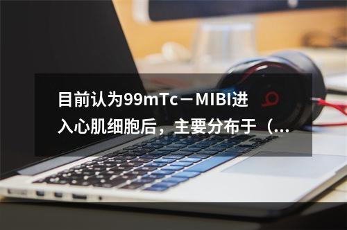 目前认为99mTc－MIBI进入心肌细胞后，主要分布于（　