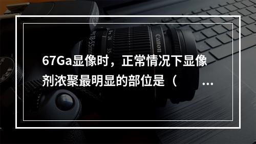 67Ga显像时，正常情况下显像剂浓聚最明显的部位是（　　）