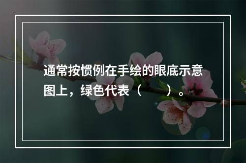 通常按惯例在手绘的眼底示意图上，绿色代表（　　）。