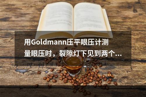 用Goldmann压平眼压计测量眼压时，裂隙灯下见到两个荧光