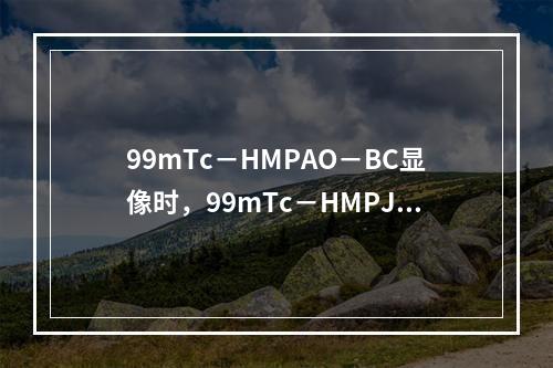 99mTc－HMPAO－BC显像时，99mTc－HMPJA