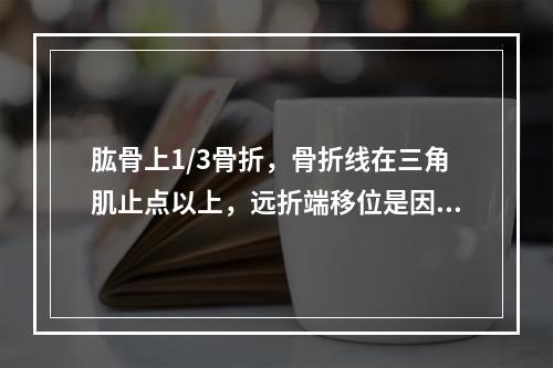 肱骨上1/3骨折，骨折线在三角肌止点以上，远折端移位是因为（