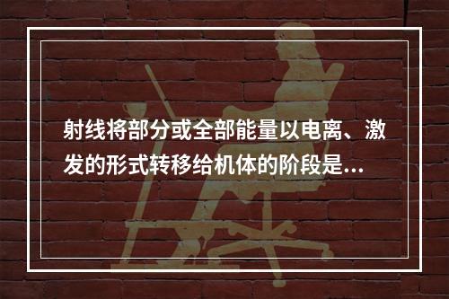 射线将部分或全部能量以电离、激发的形式转移给机体的阶段是（　