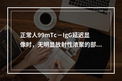 正常人99mTc－IgG延迟显像时，无明显放射性浓聚的部位