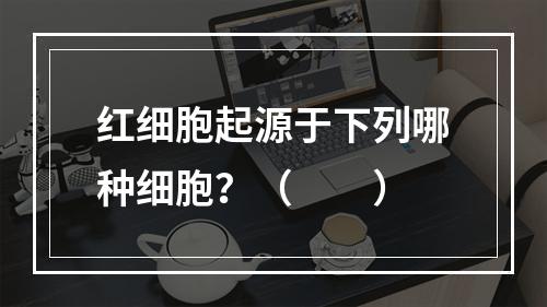 红细胞起源于下列哪种细胞？（　　）