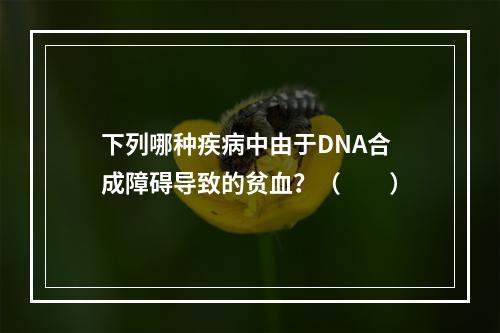 下列哪种疾病中由于DNA合成障碍导致的贫血？（　　）